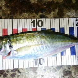 流れの中を漂わせて